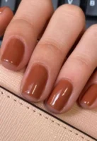 Chocolate Moose OPI Nail Lacquer